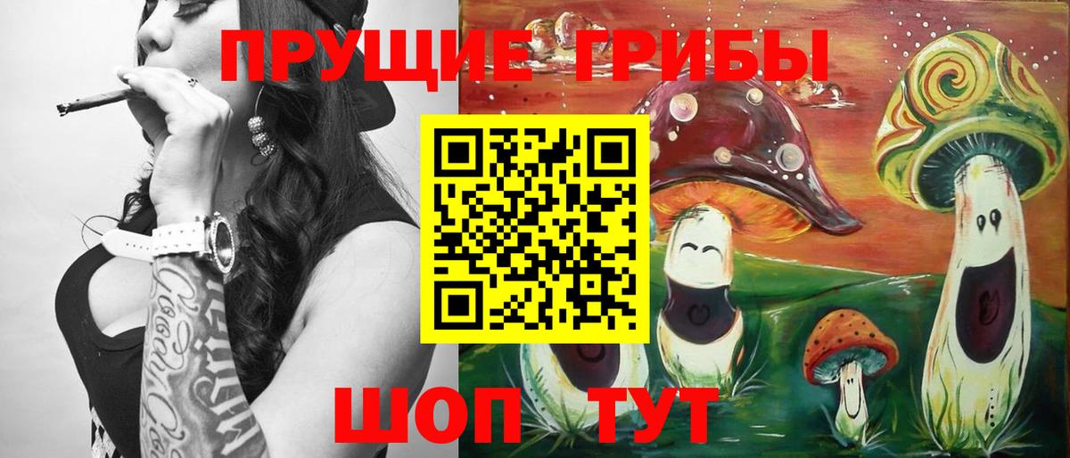 Галлюциногенные грибы Psilocybine cubensis Люберцы